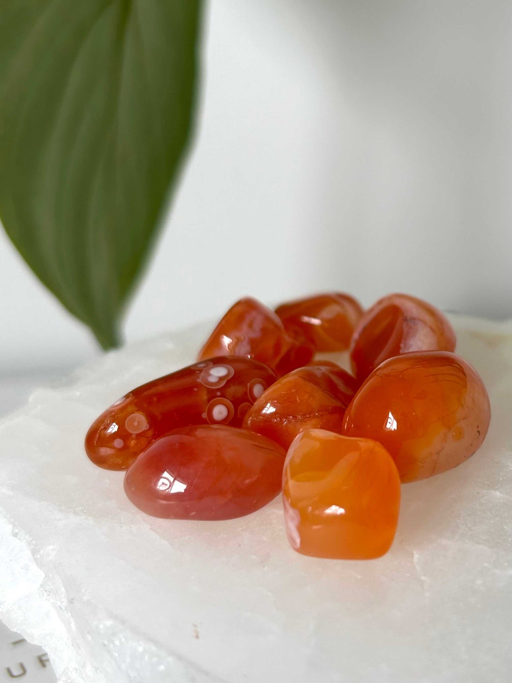 Polished Carnelian Banded Eye Tumble Stones on a white crystal slab, perfect for boosting vitality and passion in hobbyist rock collections.