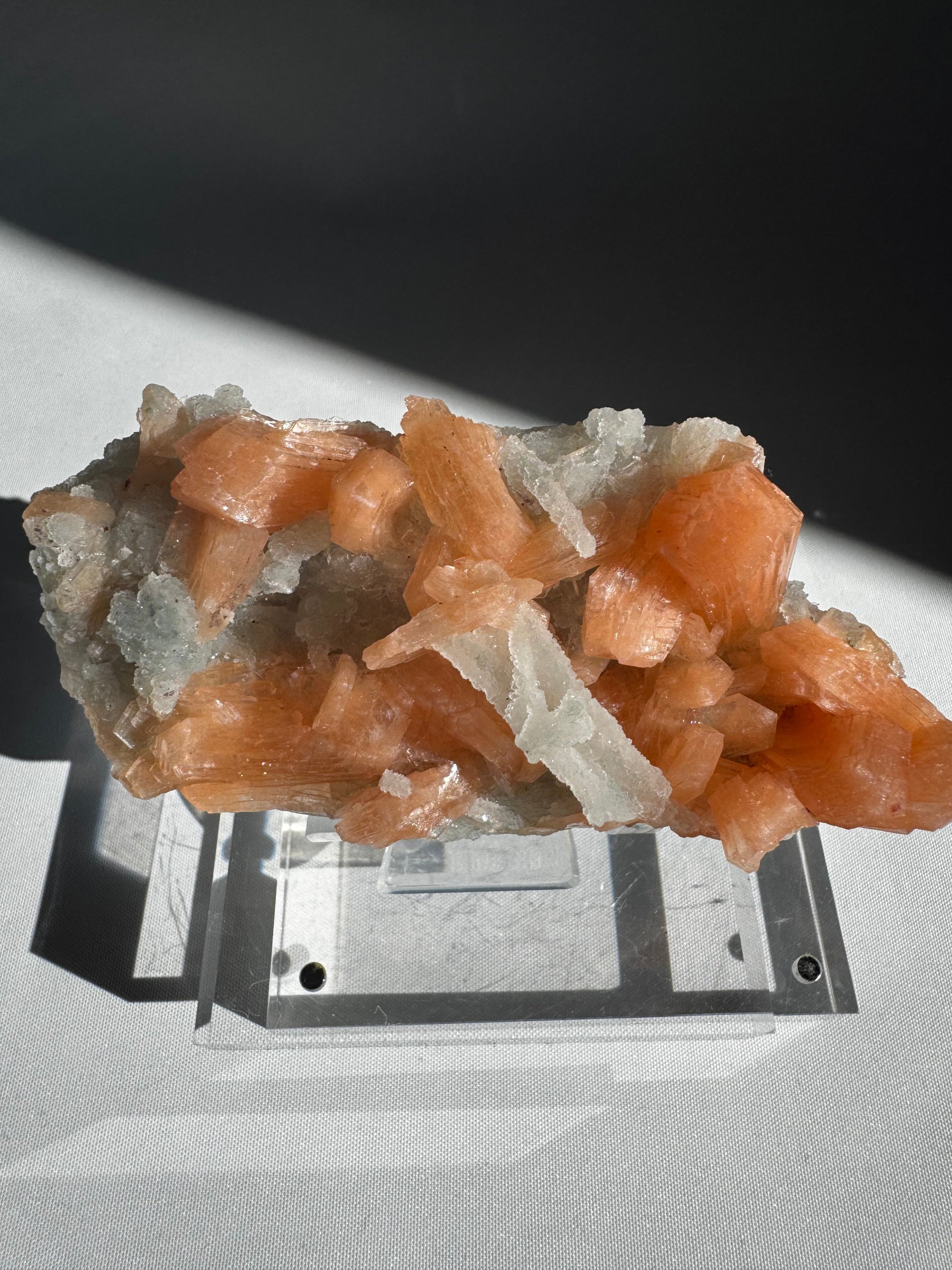 Chalcedony with Orange Stilbite Crystal #6 collectible mineral specimen showcasing lustrous orange Stilbite clusters on soft white Chalcedony base.