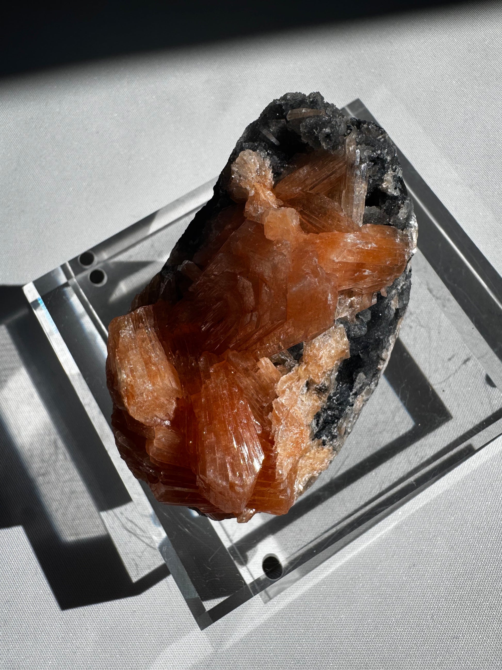 Top view of Blue Chalcedony with Stilbite Crystal #3 highlighting intricate orange Stilbite blades on a contrasting Chalcedony surface.