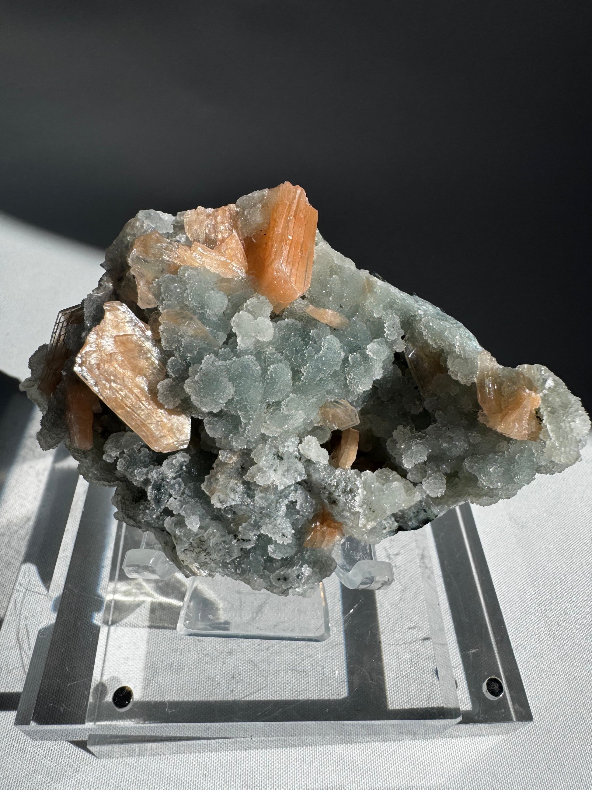 Chalcedony with Orange Stilbite Crystal #5 featuring radiant orange Stilbite blades on soft white Chalcedony matrix, collectible from Nasik, India.