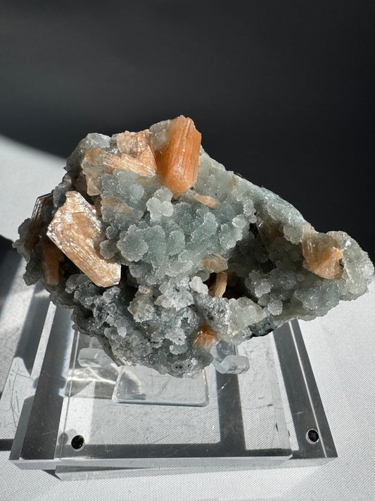 Chalcedony with Orange Stilbite Crystal #5 featuring radiant orange Stilbite blades on soft white Chalcedony matrix, collectible from Nasik, India.
