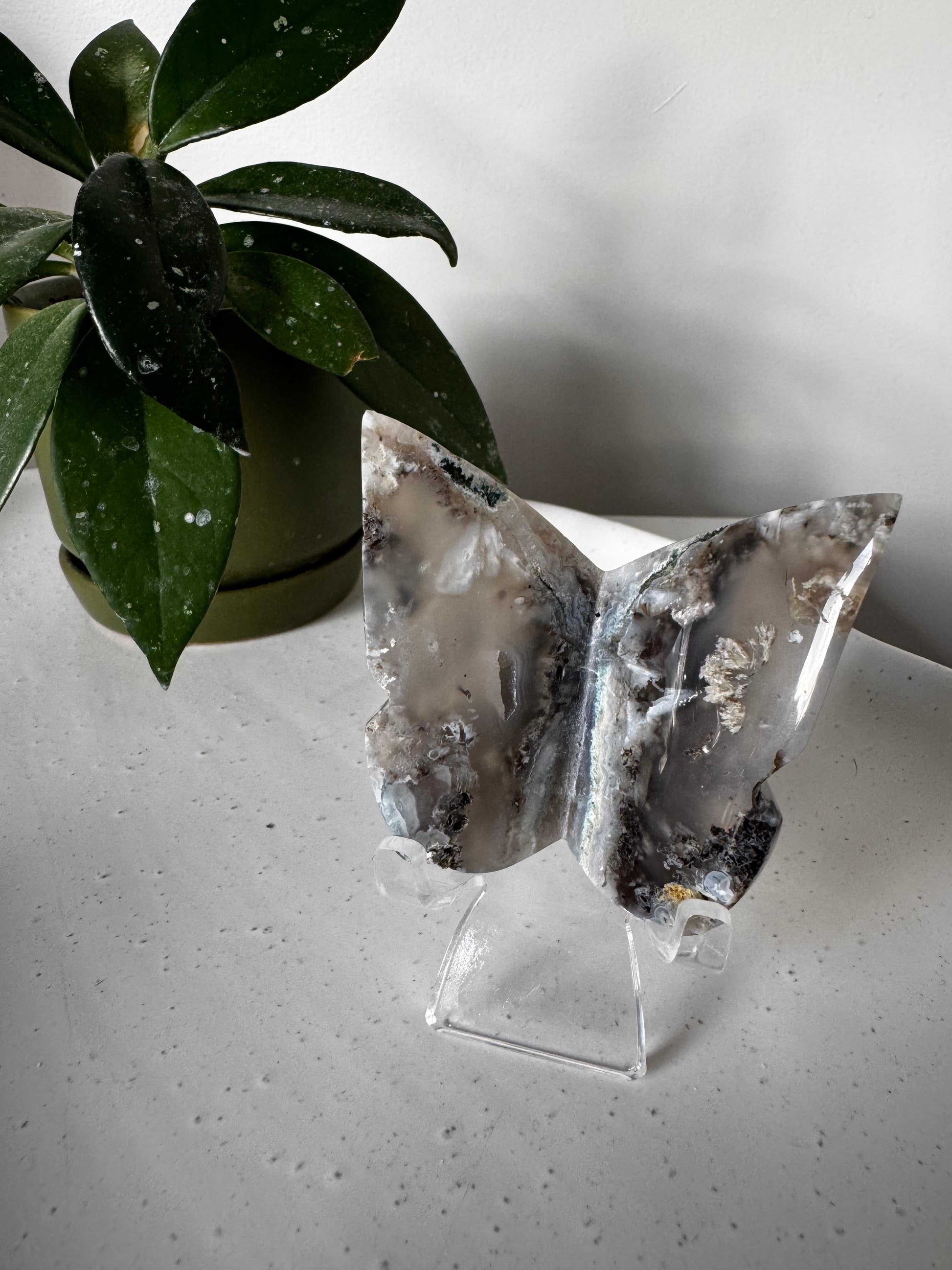 Moss Agate Crystal Butterfly | Bespoke Crystals