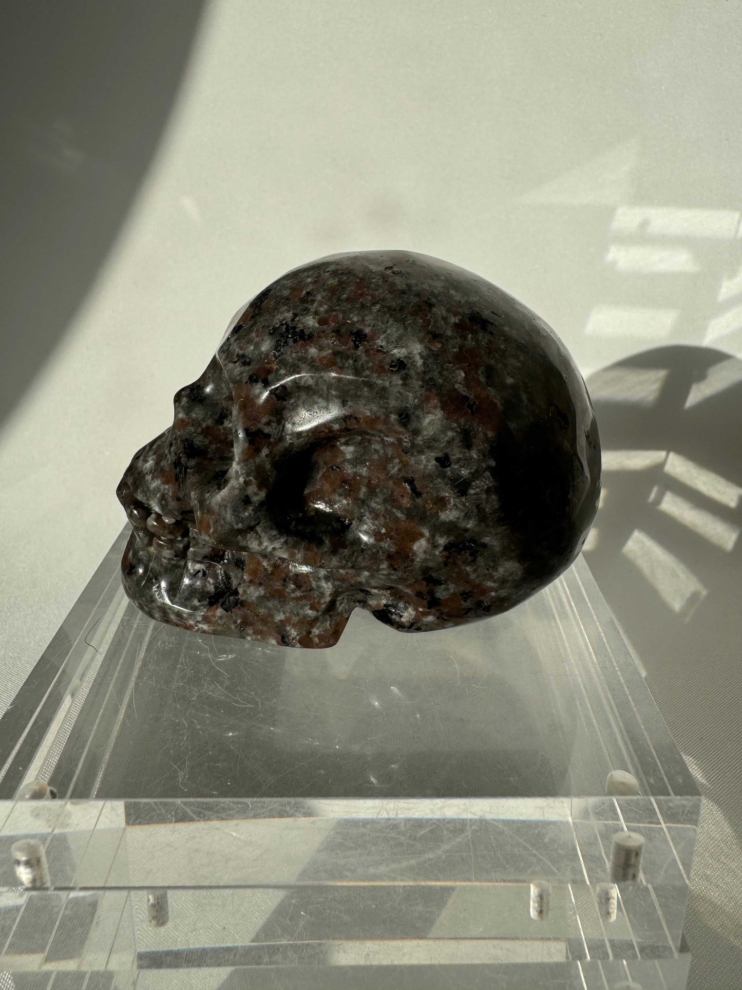 Side profile of Yooperlite Crystal Skull with polished finish, perfect for rock collectors and Halloween-themed crystal displays.