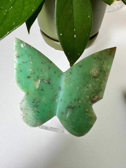 Chrysoprase Crystal 3D Butterfly carving with natural dendritic patterns, ideal for heart chakra healing and crystal collectors | Bespoke Crystals Auckland NZ