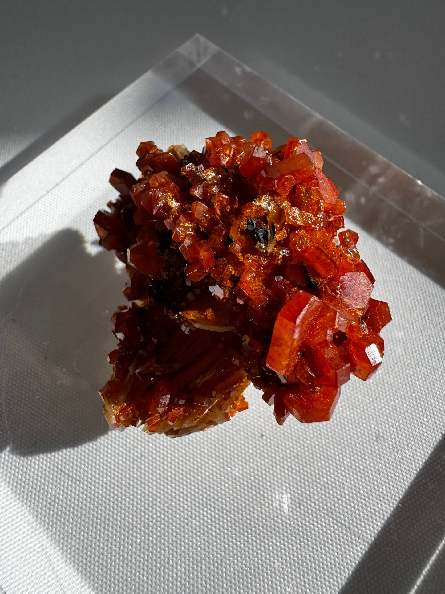 Vanadinite Crystal Specimen #2 featuring vibrant red-orange hexagonal crystals on a lead-rich matrix, ideal for rock and fossil collectors.