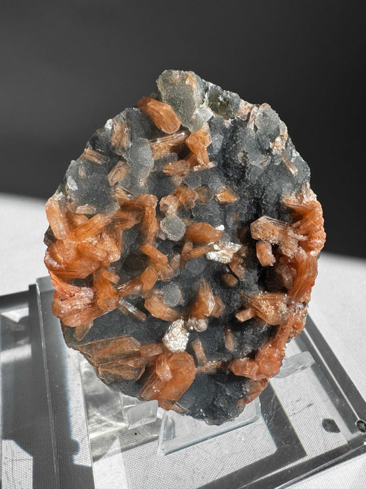 Blue Chalcedony with Orange Stilbite Crystal #7 featuring vibrant orange Stilbite clusters on soft blue Chalcedony matrix, ideal for collectors.