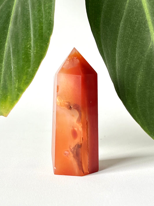 Flower Agate with Carnelian Point #2 crystal tower featuring warm orange hues and natural inclusions, ideal for transformation and emotional healing.
