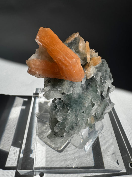 Chalcedony with Orange Stilbite Crystal #4 featuring vibrant orange Stilbite blades on soft white Chalcedony from Nasik, India. Ideal for crystal collectors.