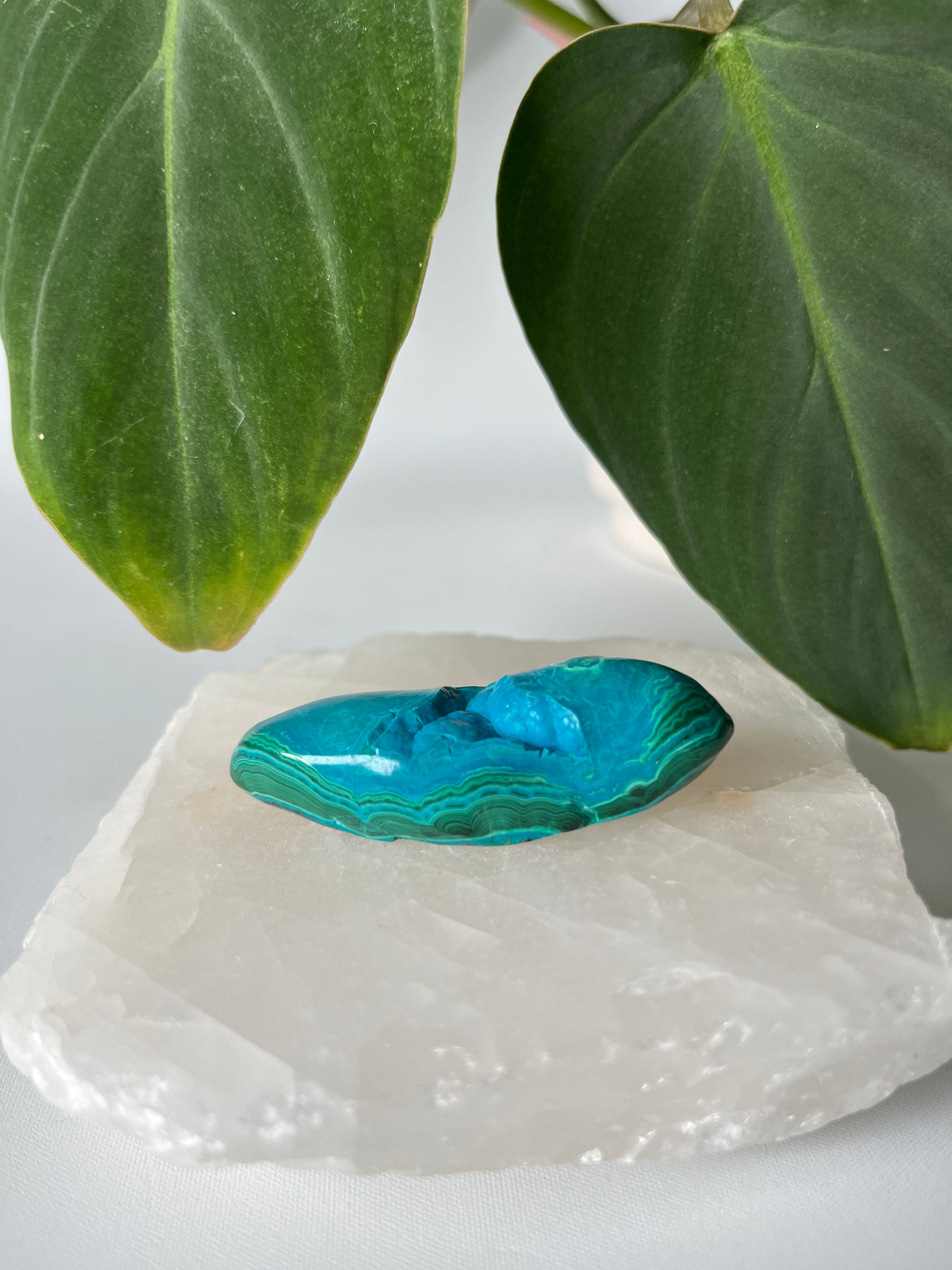 Chrysocolla Crystal Free Form with vibrant turquoise and green hues | Bespoke Crystals Auckland NZ