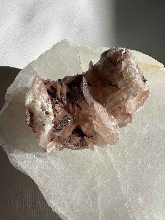 Rare Pink Benz Calcite Crystal with Chalcopyrite #4 featuring soft pink crystal formations and golden mineral inclusions on a white matrix.