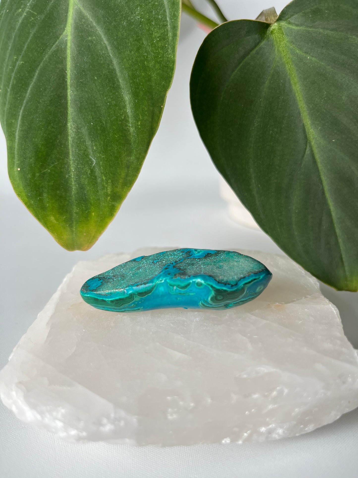 Polished Chrysocolla Crystal Free Form showing layered malachite and chrysocolla patterns, placed on quartz with leafy backdrop. Bespoke crystal decor.