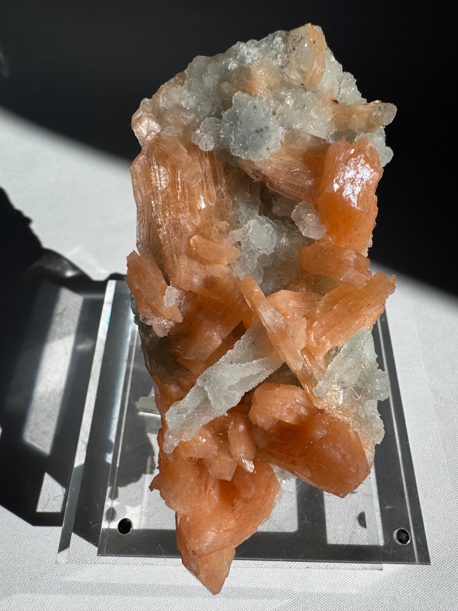 Chalcedony with Orange Stilbite Crystal #6 featuring radiant orange Stilbite blades on white Chalcedony matrix from Nasik, India. Ideal for collectors.