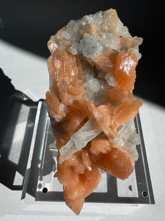 Chalcedony with Orange Stilbite Crystal #6 featuring radiant orange Stilbite blades on white Chalcedony matrix from Nasik, India. Ideal for collectors.