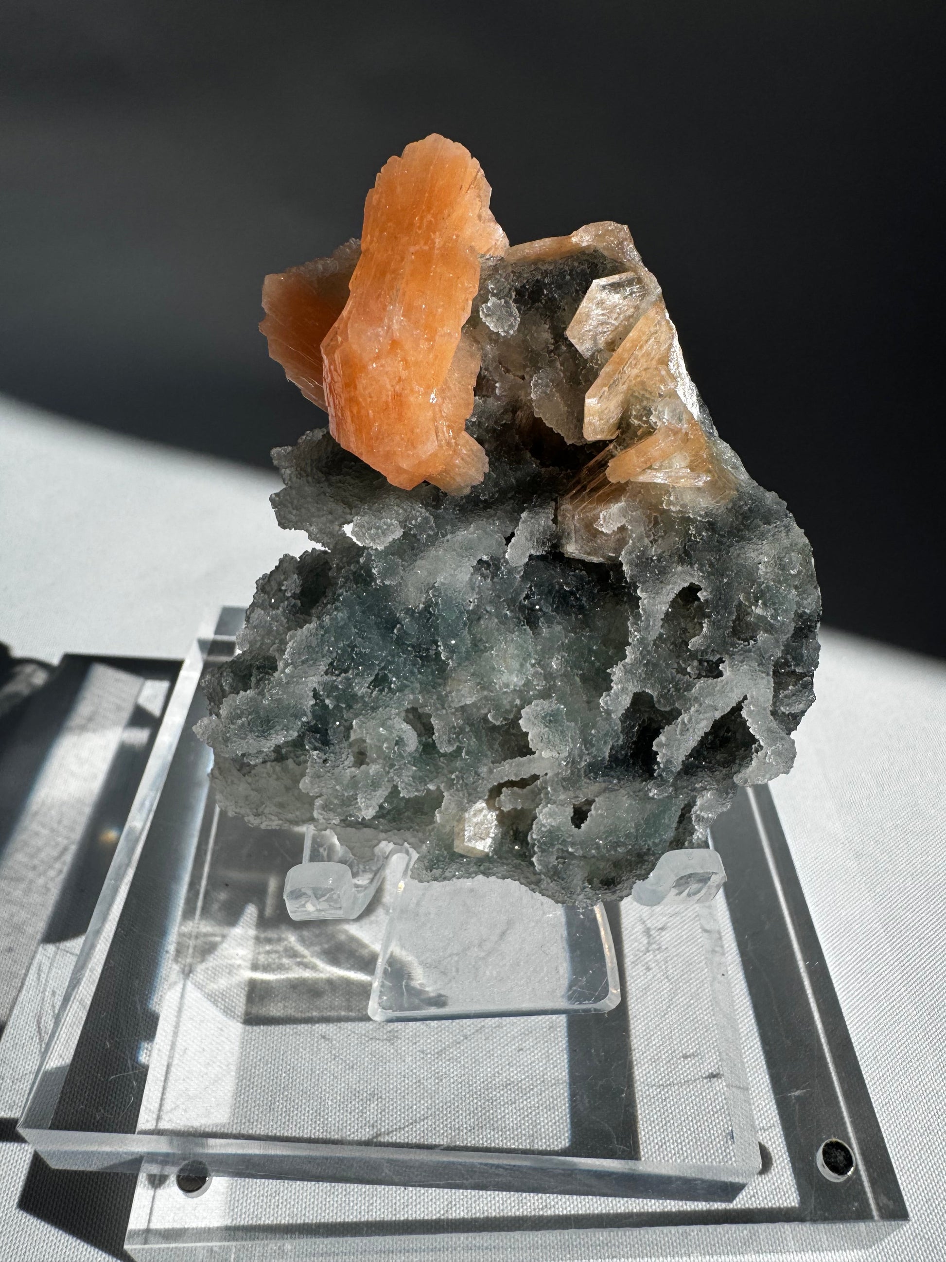 Chalcedony with Orange Stilbite Crystal #4 showing radiant orange Stilbite clusters on a textured Chalcedony base, perfect for metaphysical decor or mineral displays.