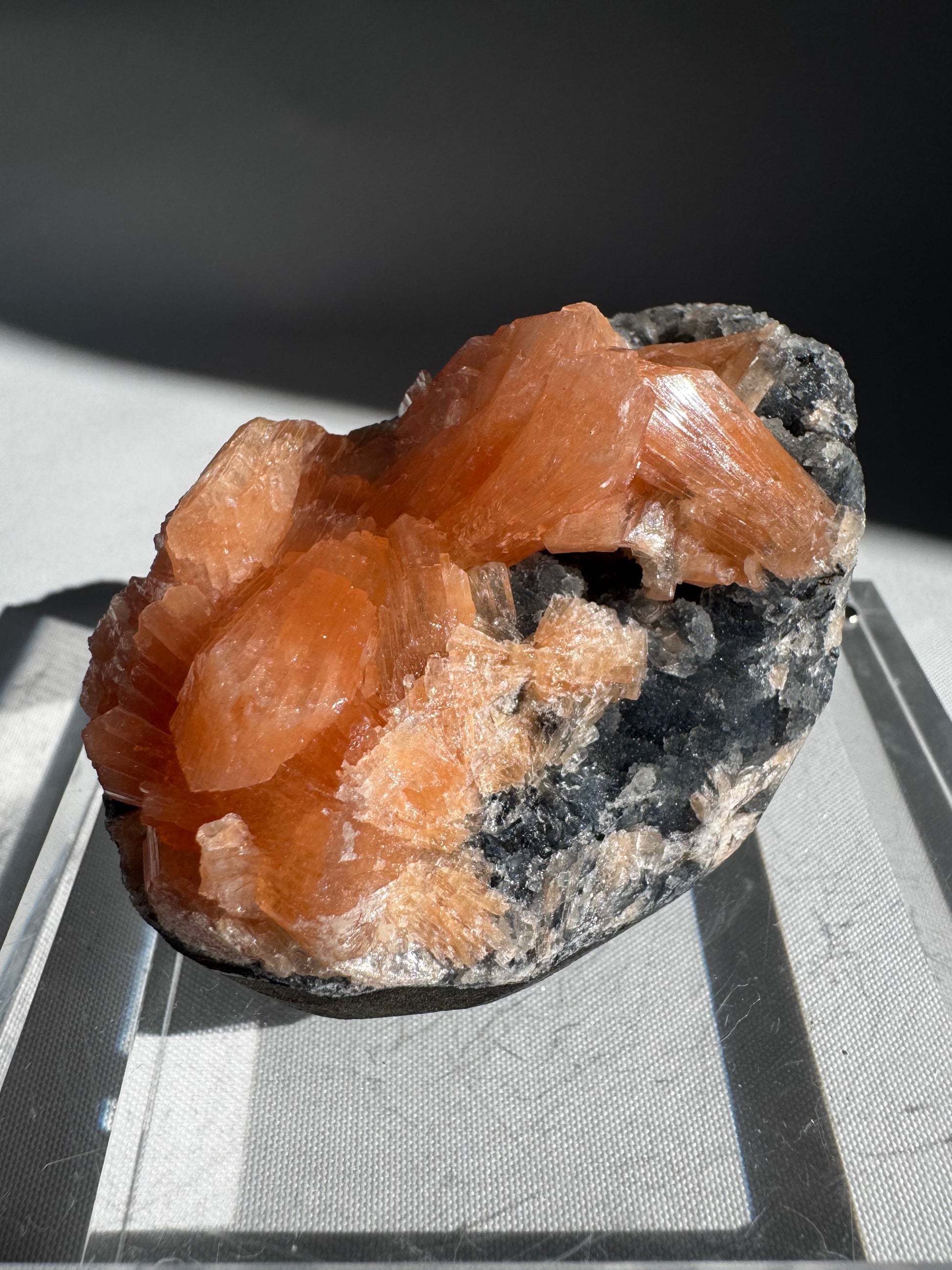 Blue Chalcedony with Stilbite Crystal #3 featuring radiant orange Stilbite clusters on soft white Chalcedony matrix, ideal for collectors.