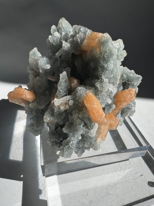 Blue Chalcedony with Stilbite Crystal #1 featuring orange Stilbite formations on soft white-blue Chalcedony from Nasik, India, displayed on a clear stand.