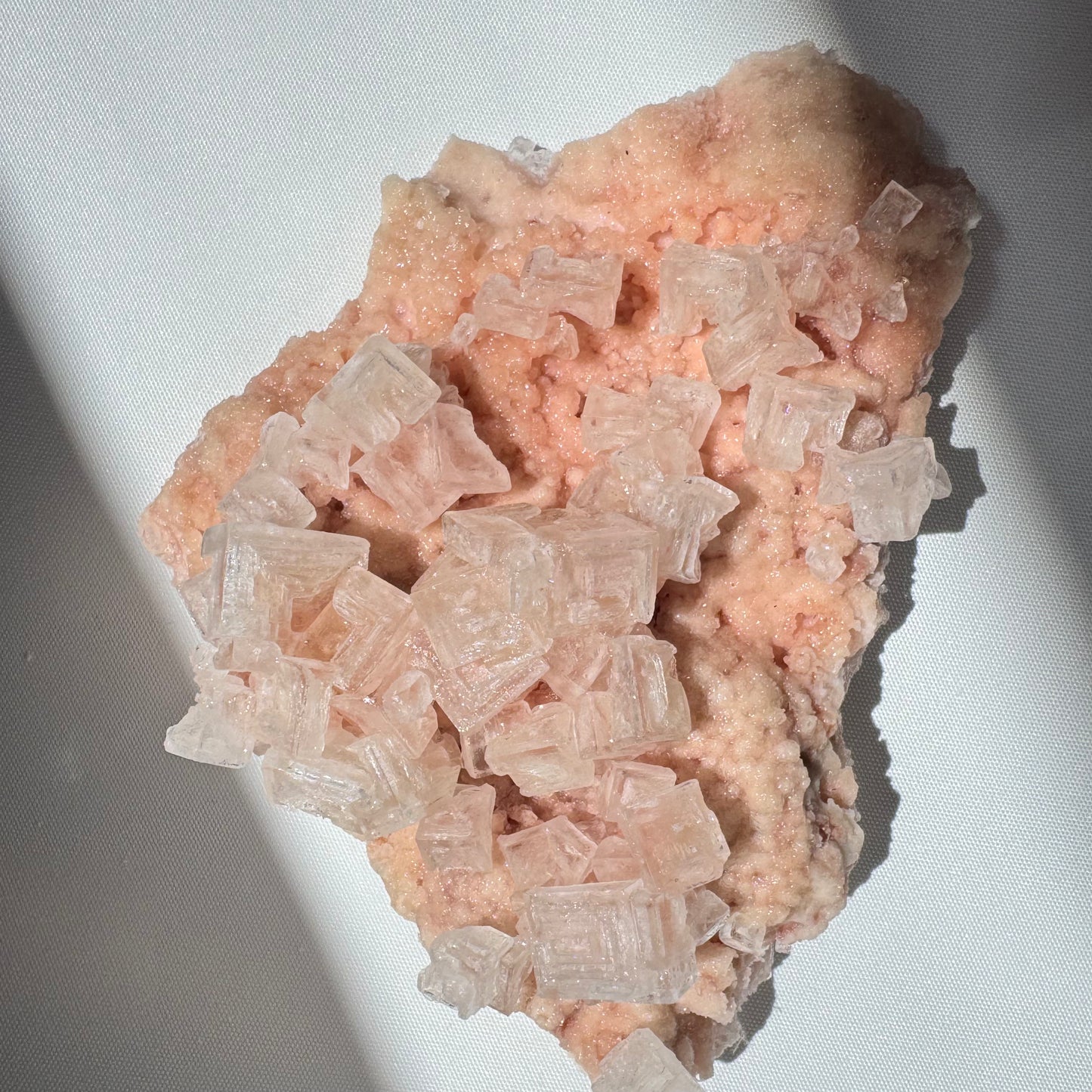 Rare Pink Halite Crystal #6 | Bespoke Crystals