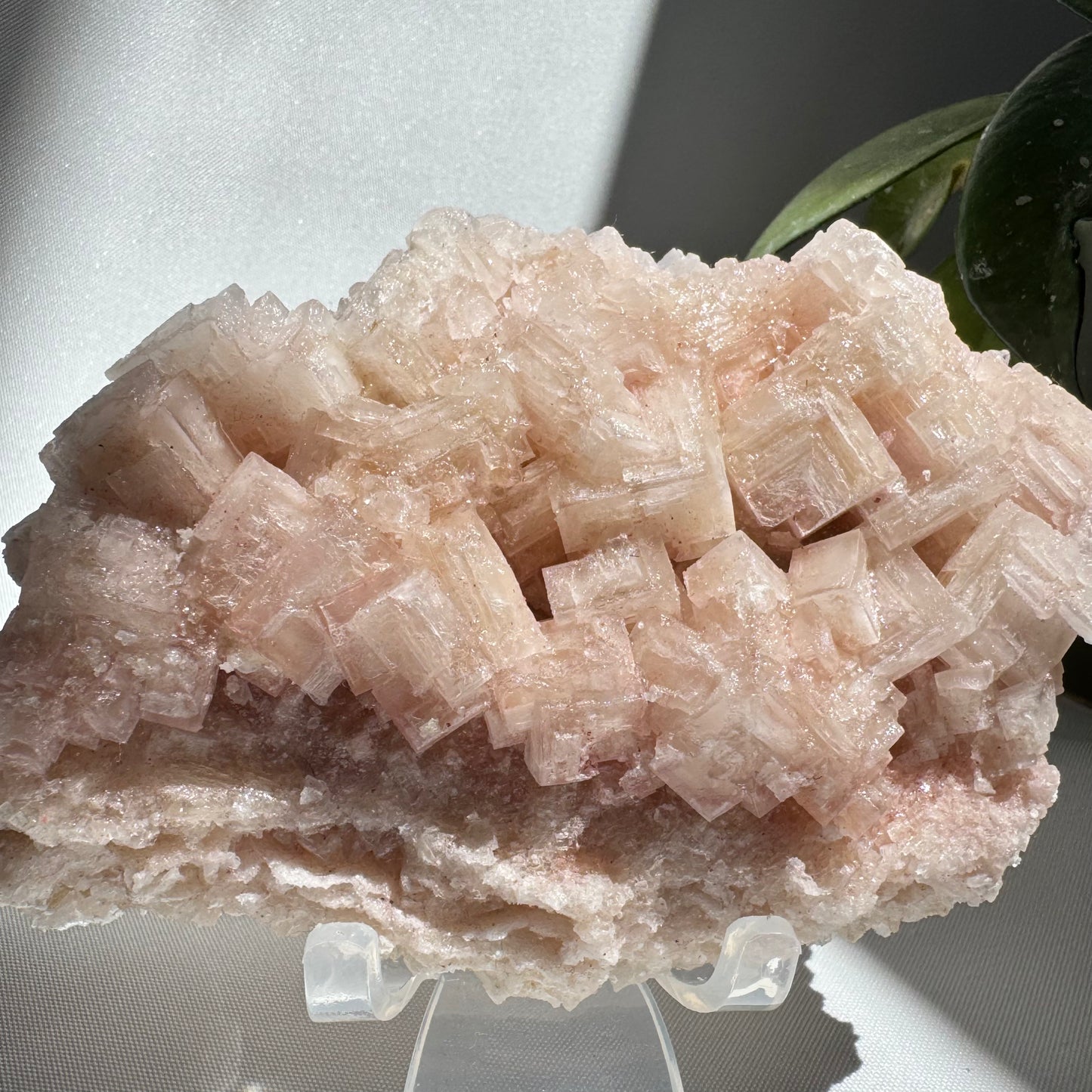 Rare Pink Halite Crystal #5 | Bespoke Crystals