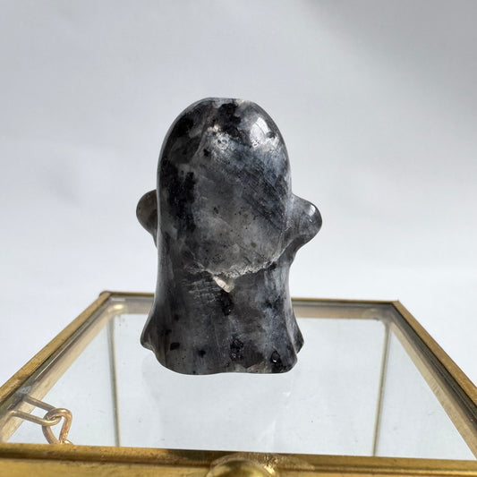 Larvikite Ghost