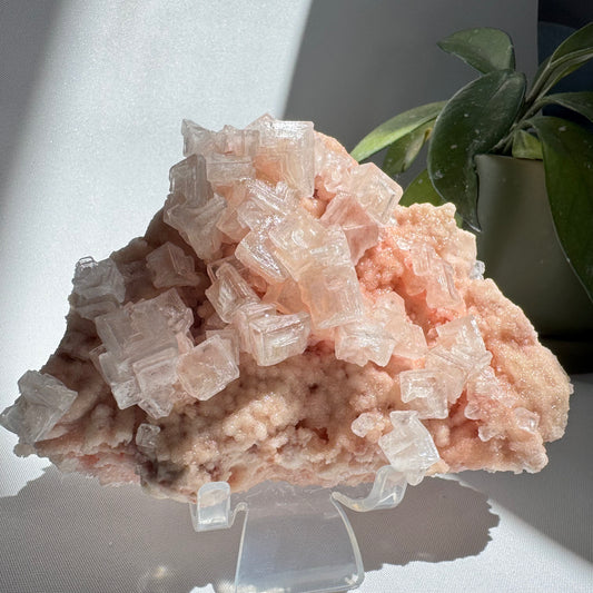 Rare Pink Halite Crystal #6 | Bespoke Crystals