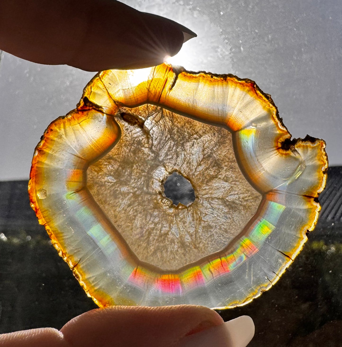 Iris Agate Slice #1