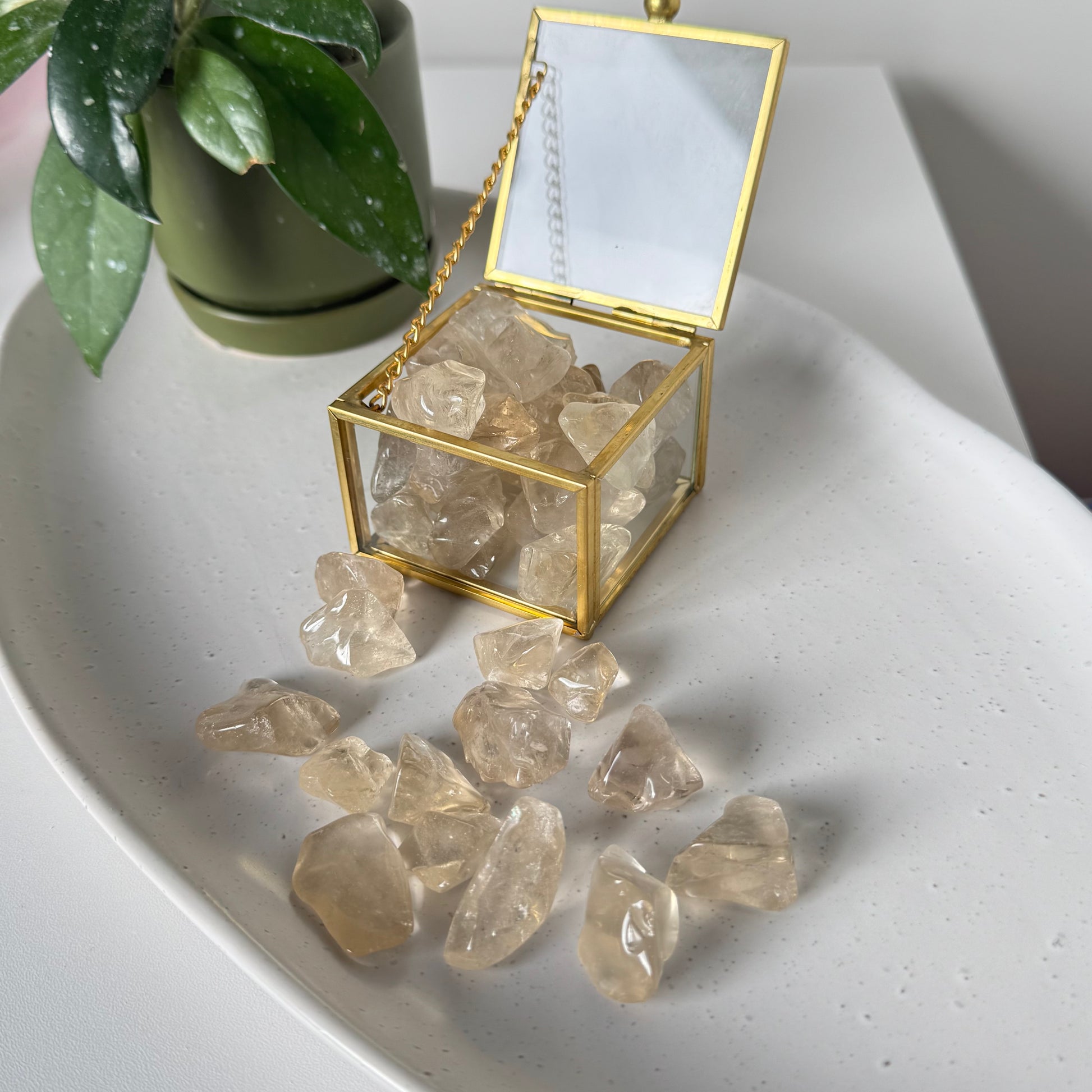 Natural Citrine Tumble Gems | Bespoke Crystals NZ
