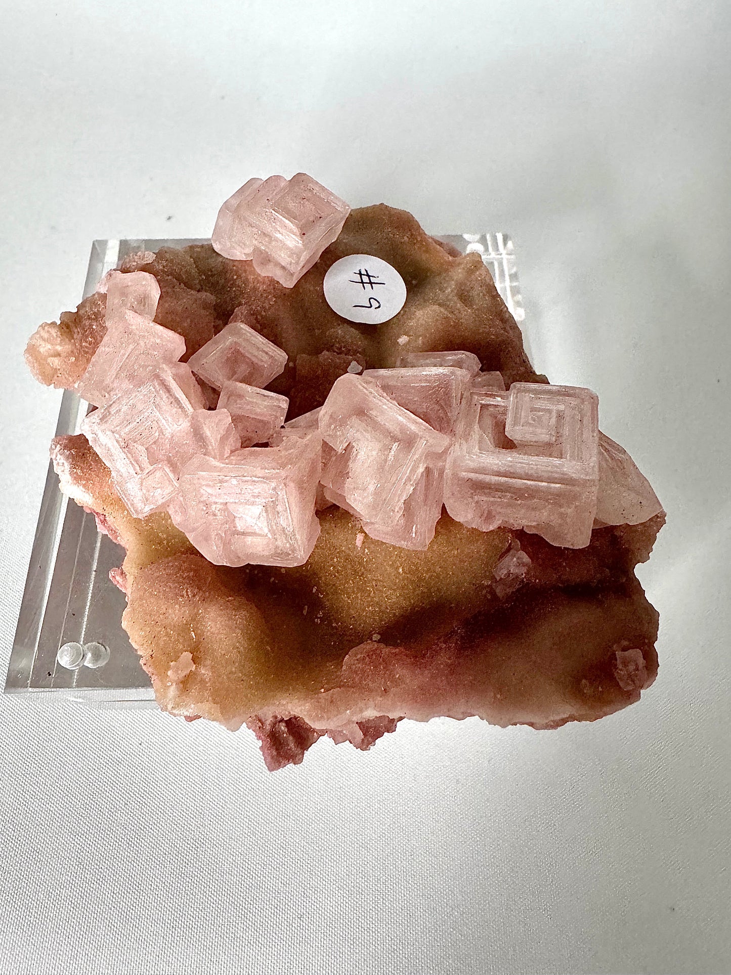 Pink Halite Crystal #9 from San Bernardino, California, featuring rare cubic formations on a natural salt matrix. Ideal for collectors and crystal healing.