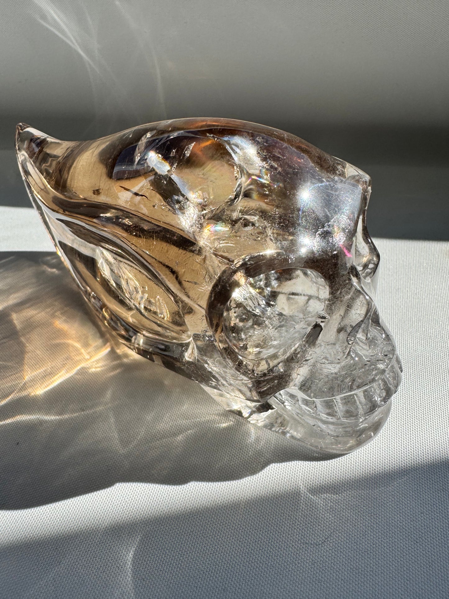 Crystal skull sculpture with reflective surface and shadow