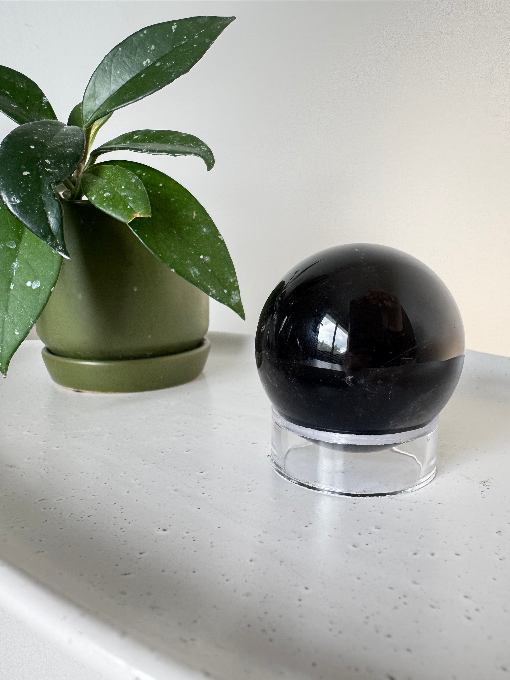 Dark Smoky Quartz Sphere | Crystals NZ displayed on a clear stand beside a green potted plant, ideal for grounding and emotional balance.