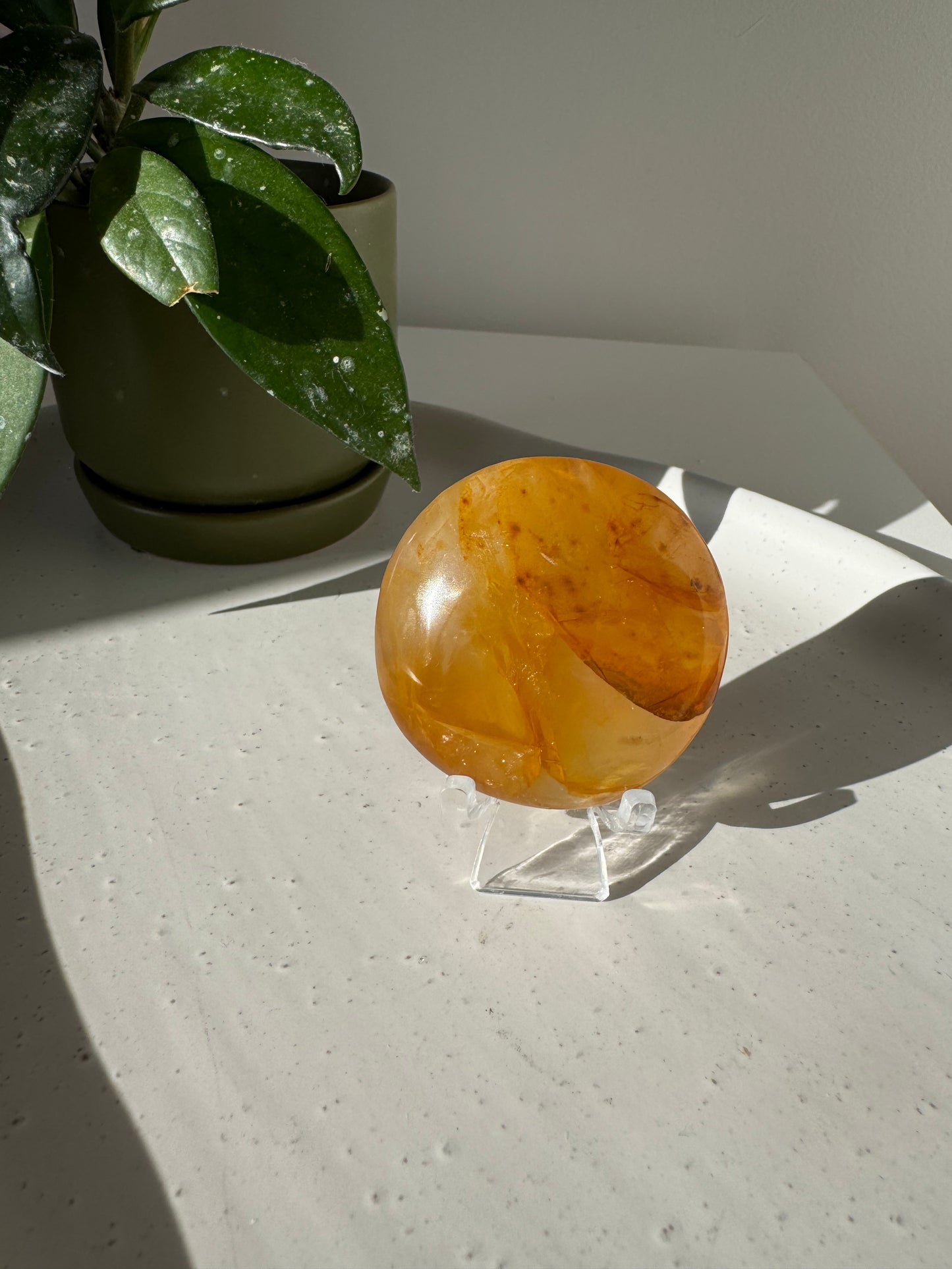 Golden Healer Palmstone | Crystals NZ