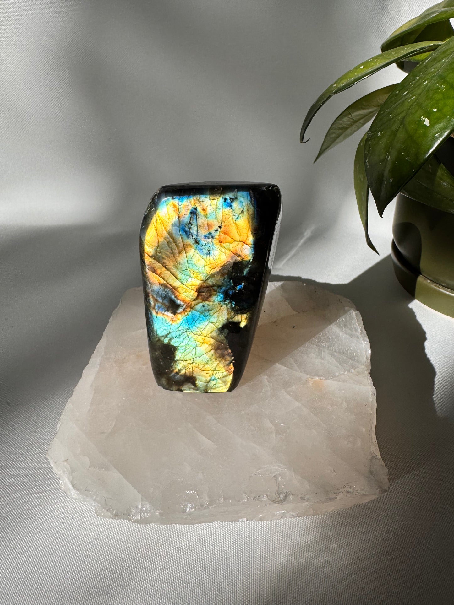 Labradorite Crystal Freeform A11