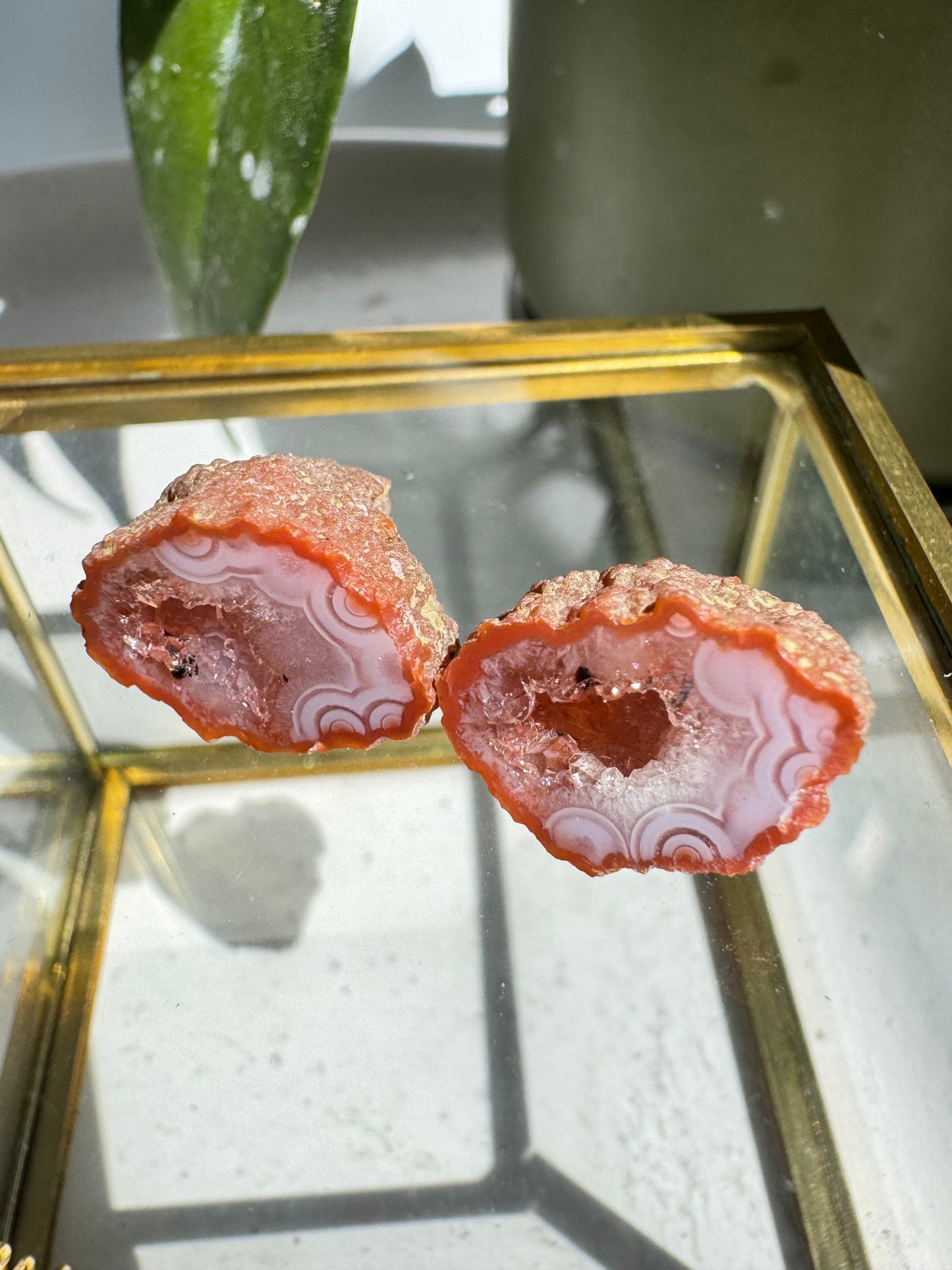 Rare Zhanguo Agate Crystal Mini Geode #5