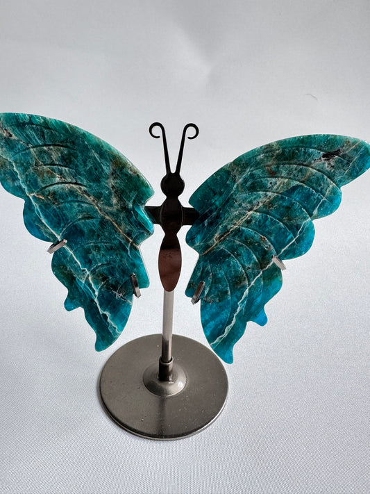 Blue Apatite Butterfly | Bespoke Crystals NZ