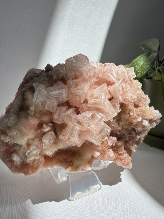 Rare Pink Halite Crystal  #11 | Bespoke Crystals