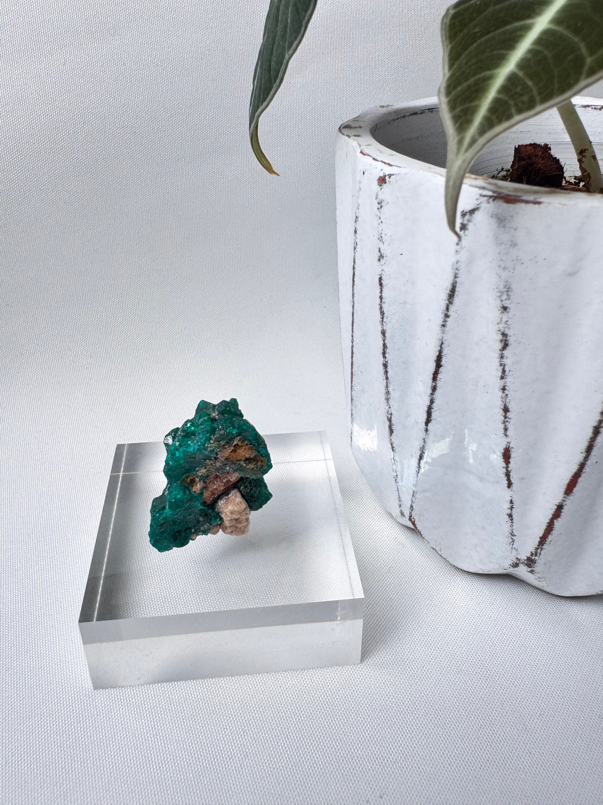 Dioptase Specimen
