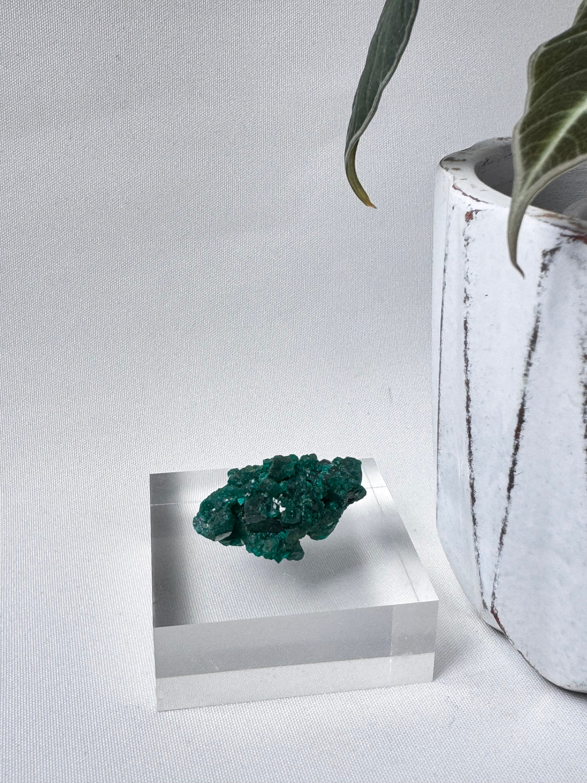 Dioptase Specimen