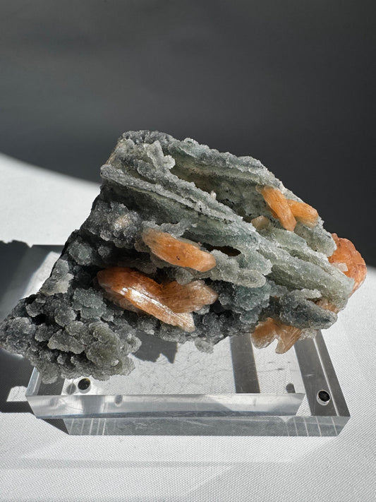 Chalcedony with Orange Stilbite Crystal #8 featuring radiant orange Stilbite on layered white Chalcedony, ideal for collectors of rare mineral specimens.