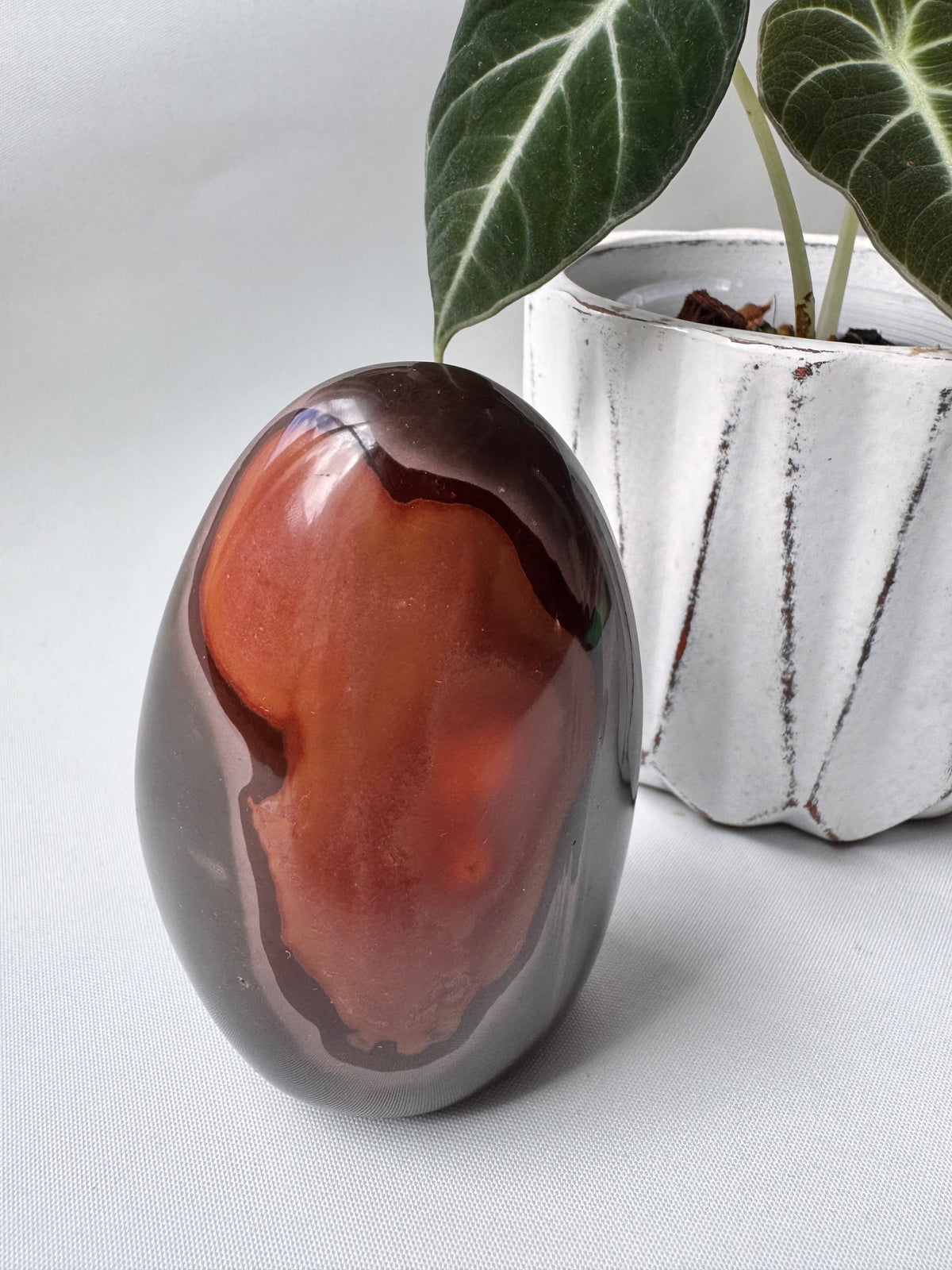 Polychrome Jasper Freeform