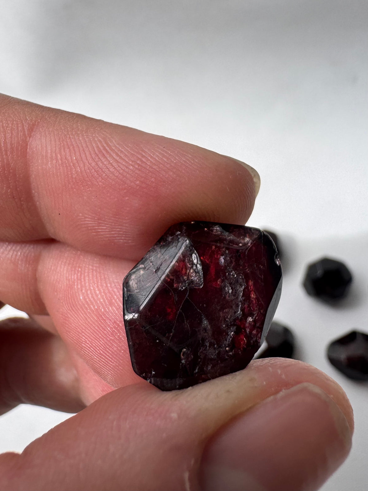 Faceted Polished Garnets