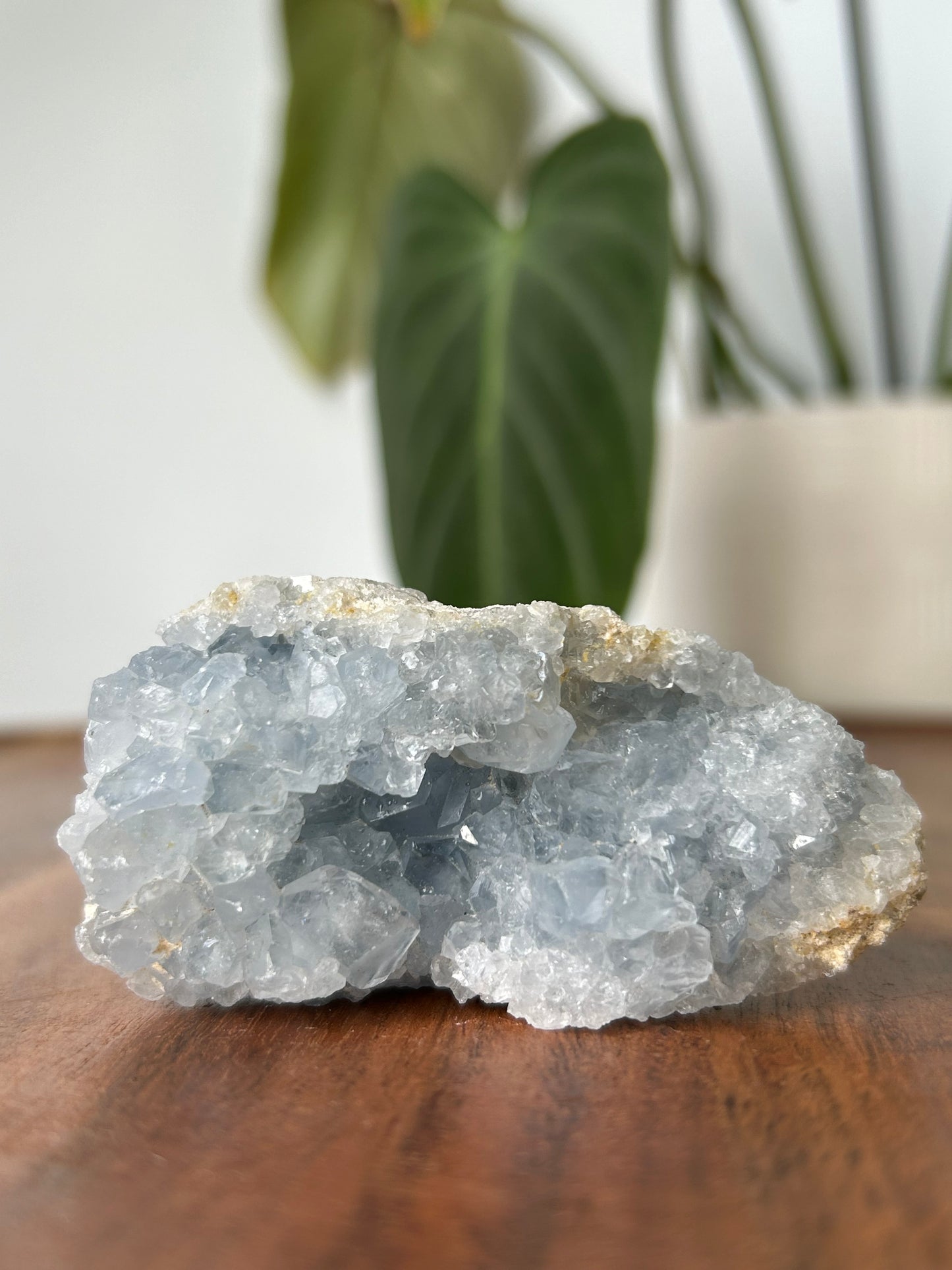 Celestite Druze Cluster #2