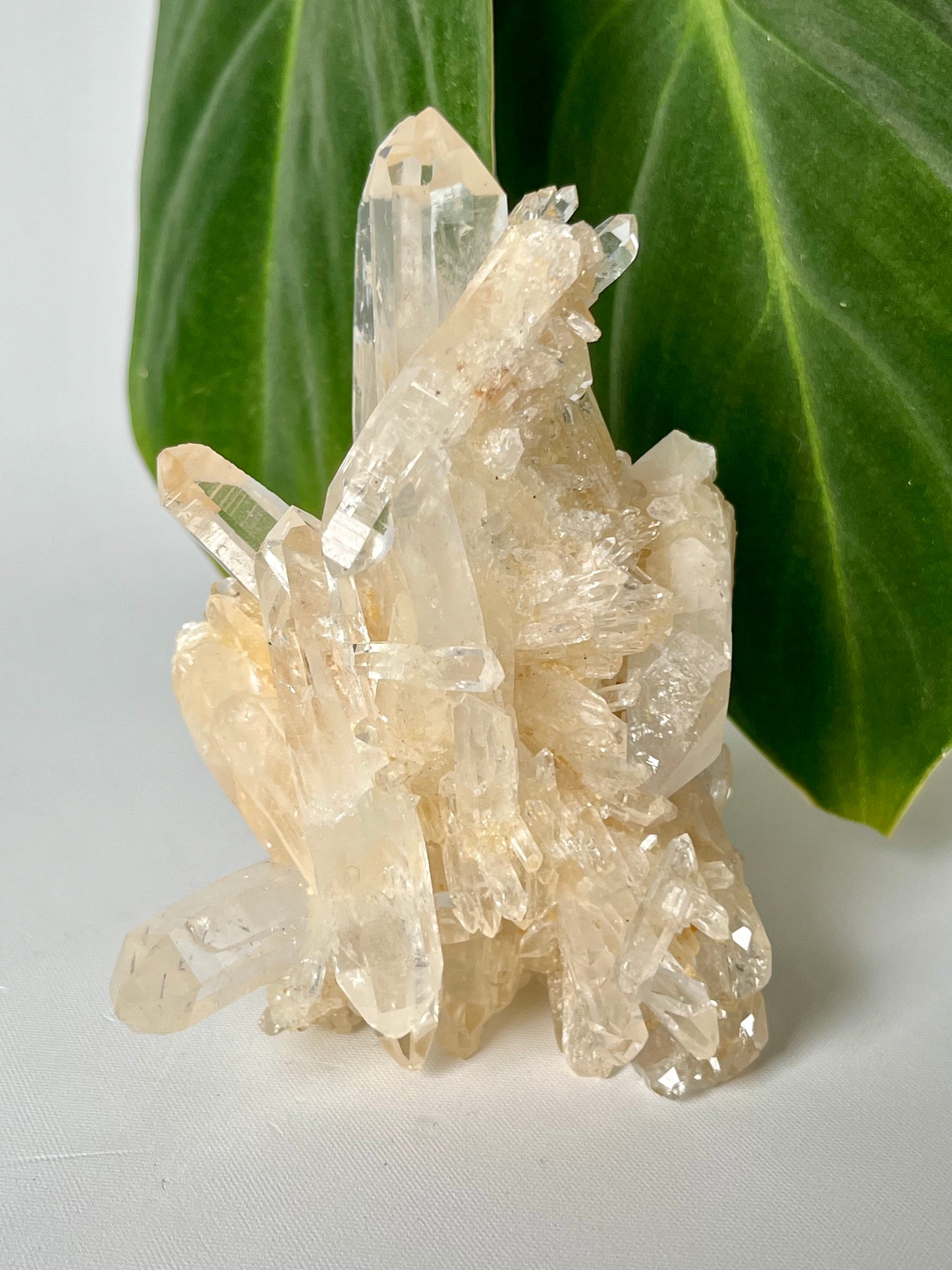 Halloysite Lemurian Seed Quartz