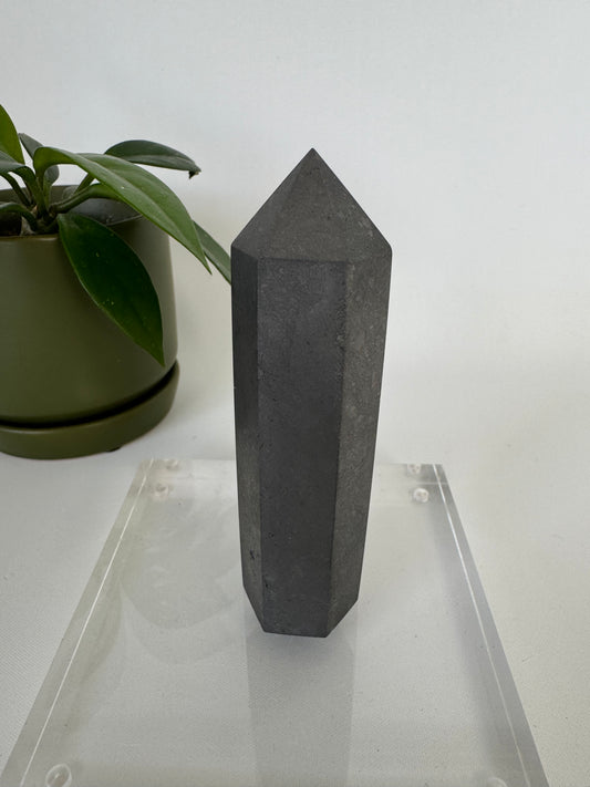 Shungite Point