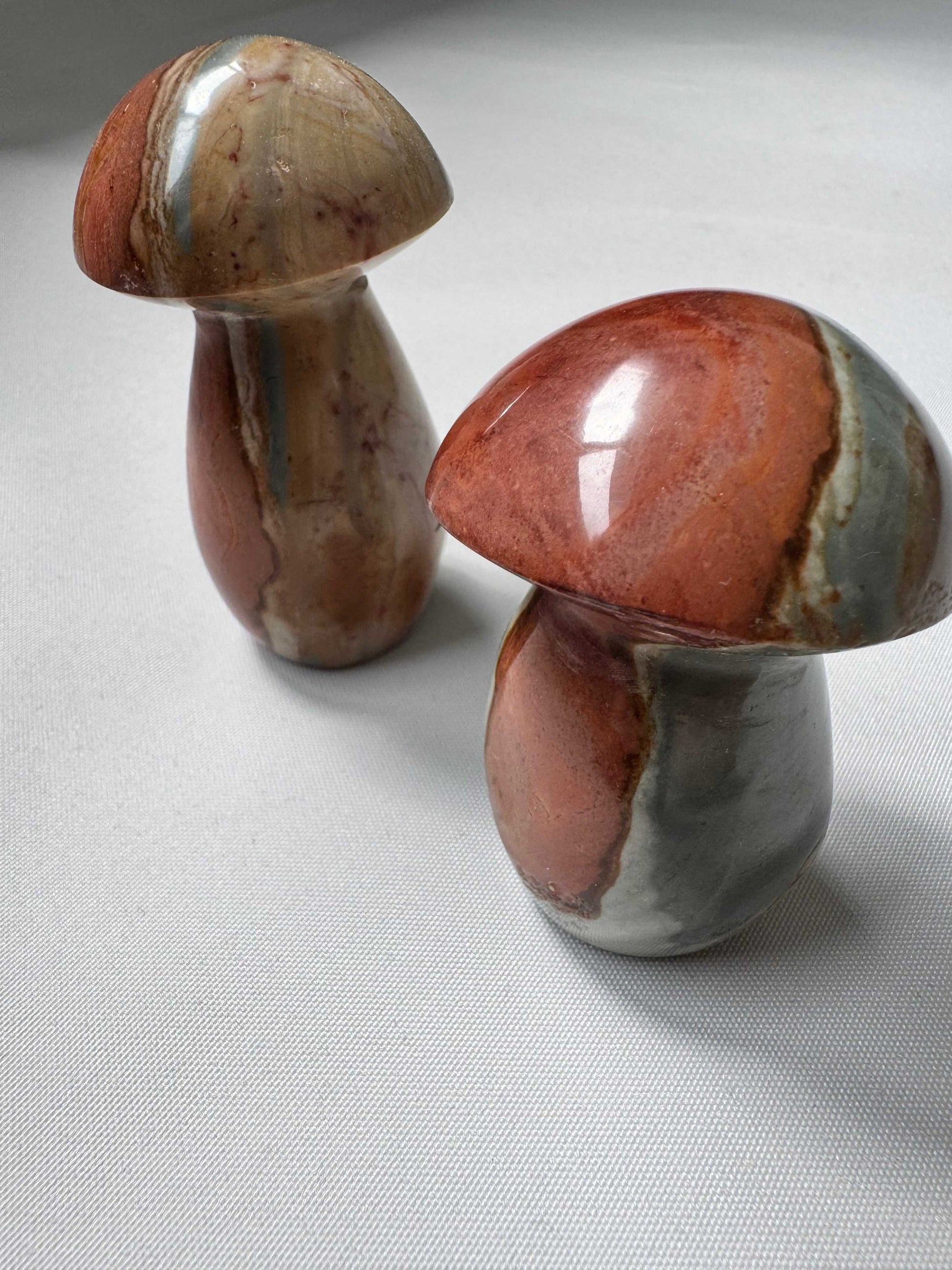 Set of two Polychrome Jasper Crystal Mushrooms featuring earthy hues and smooth finishes, perfect for bespoke crystal collections | Bespoke crystals