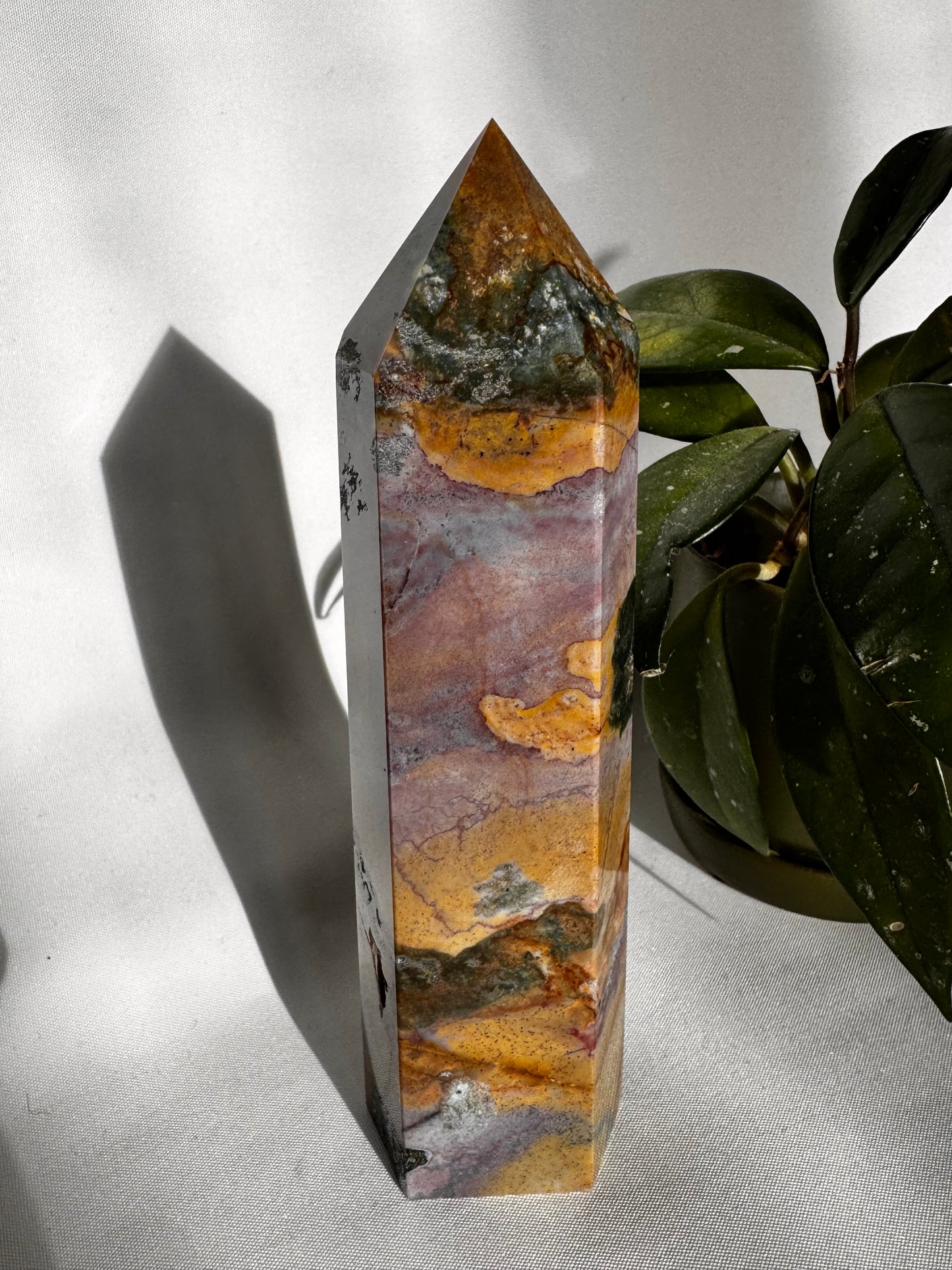 Ocean Jasper Tower #1