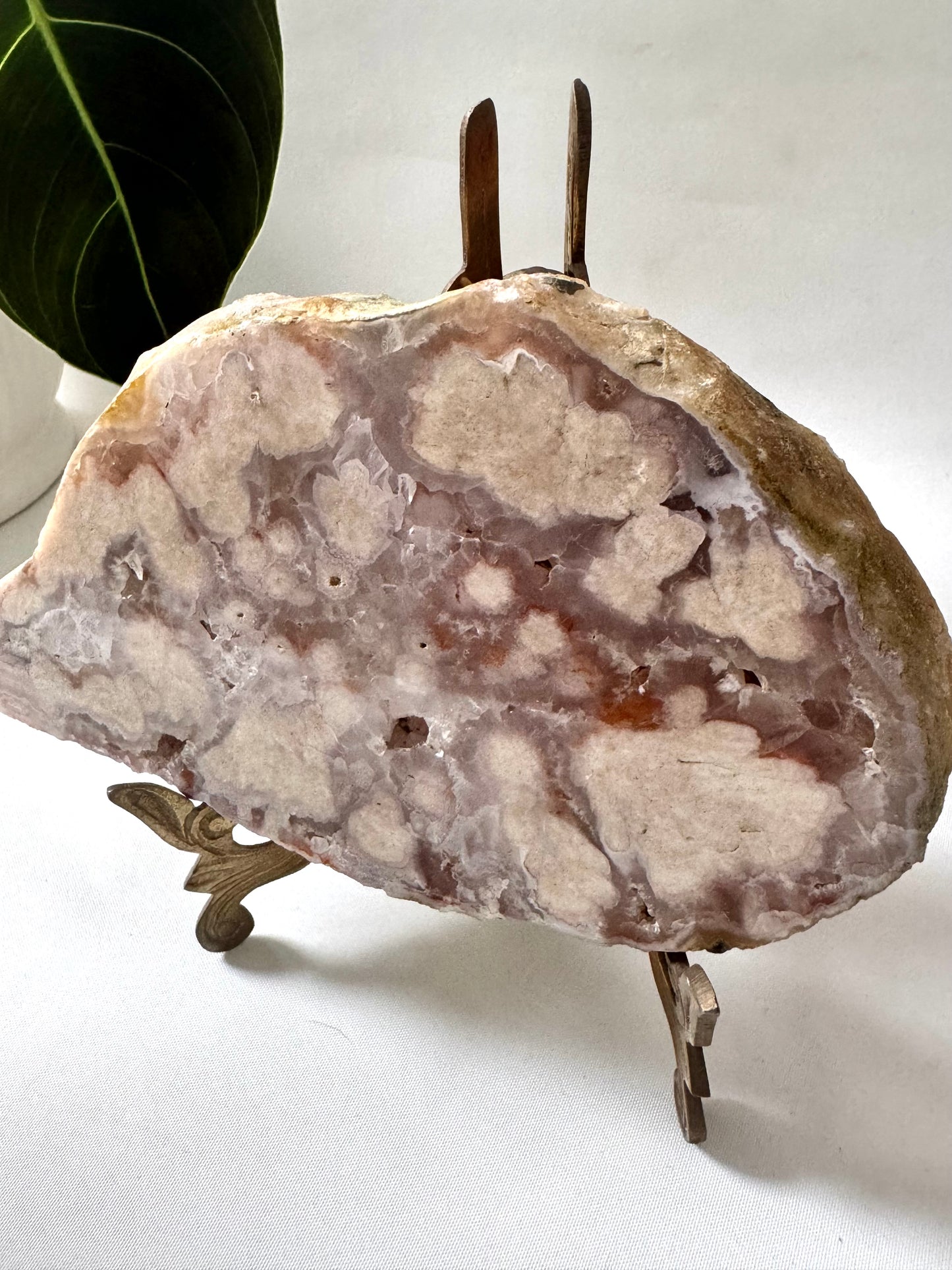 Flower Agate Slab