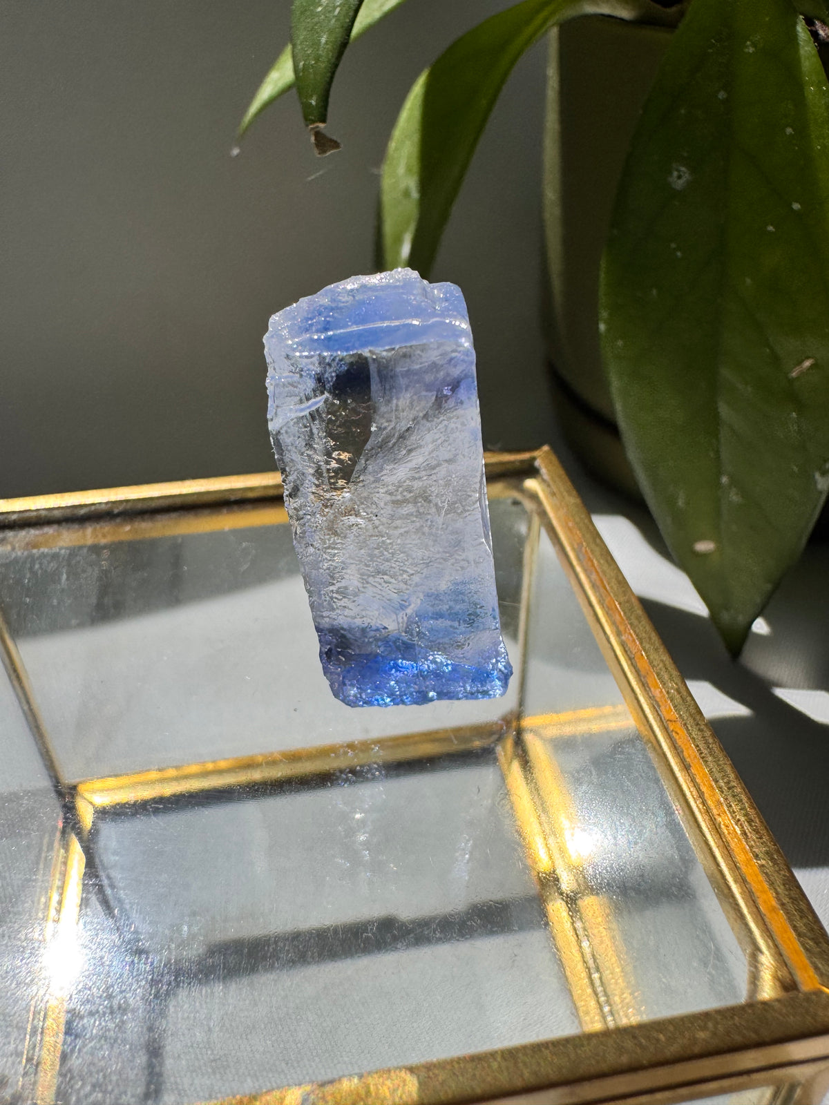 Rare Blue Halite Crystal Specimen