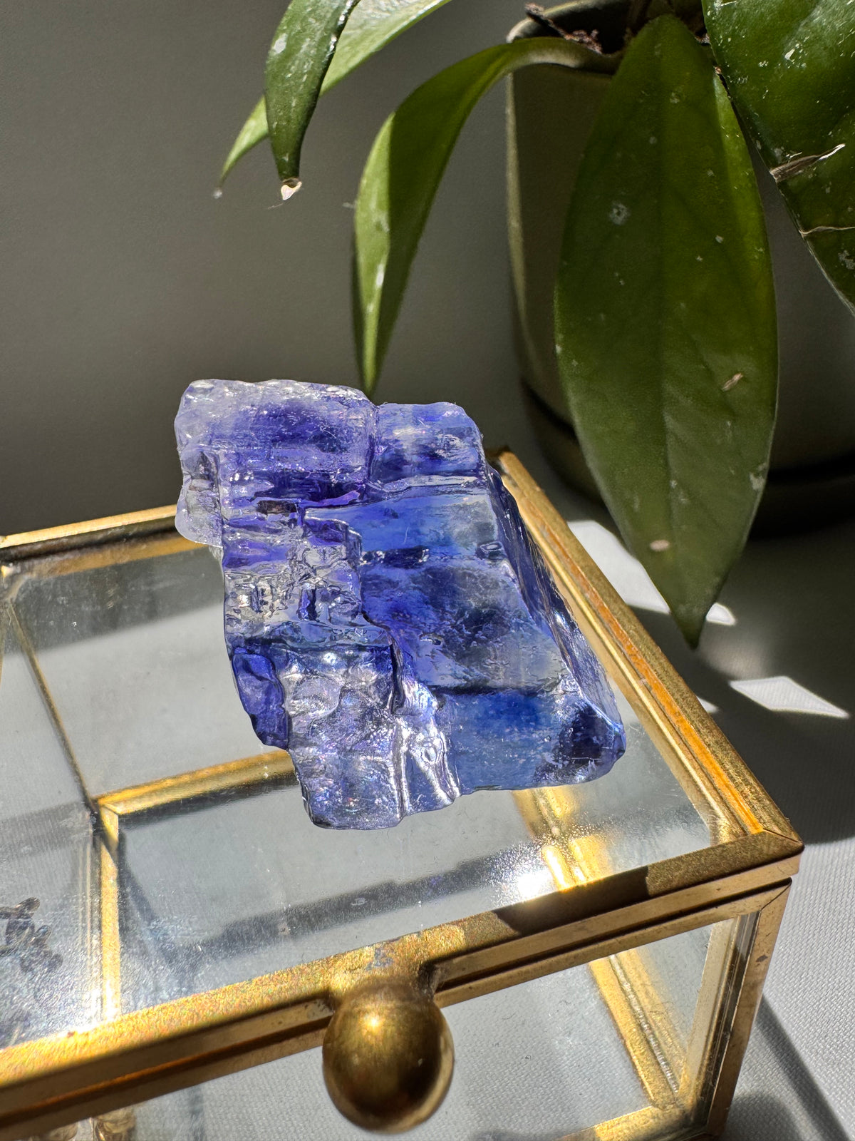 Rare Blue Halite Crystal Specimen