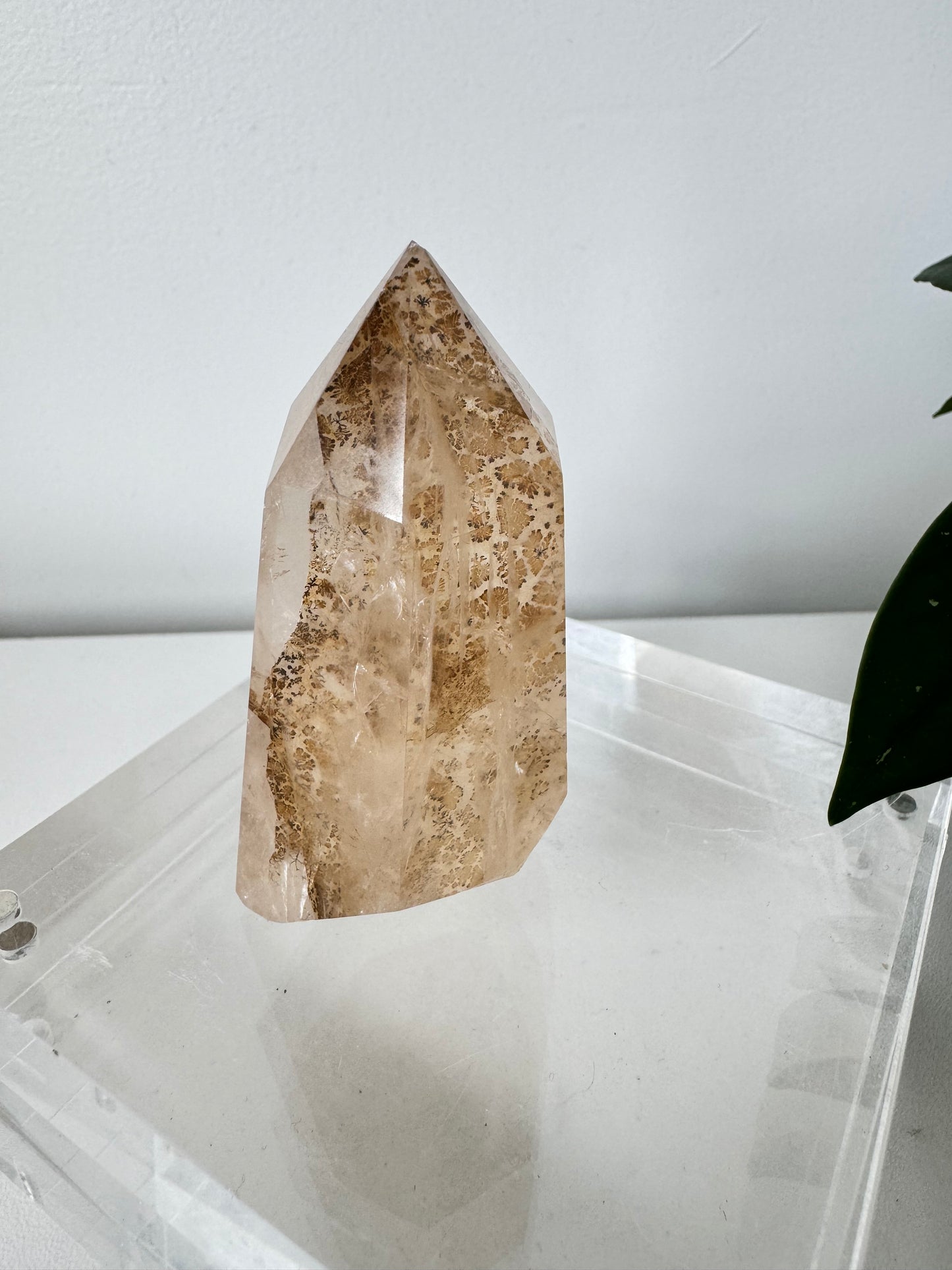 Dendritic Girasol Quartz Point