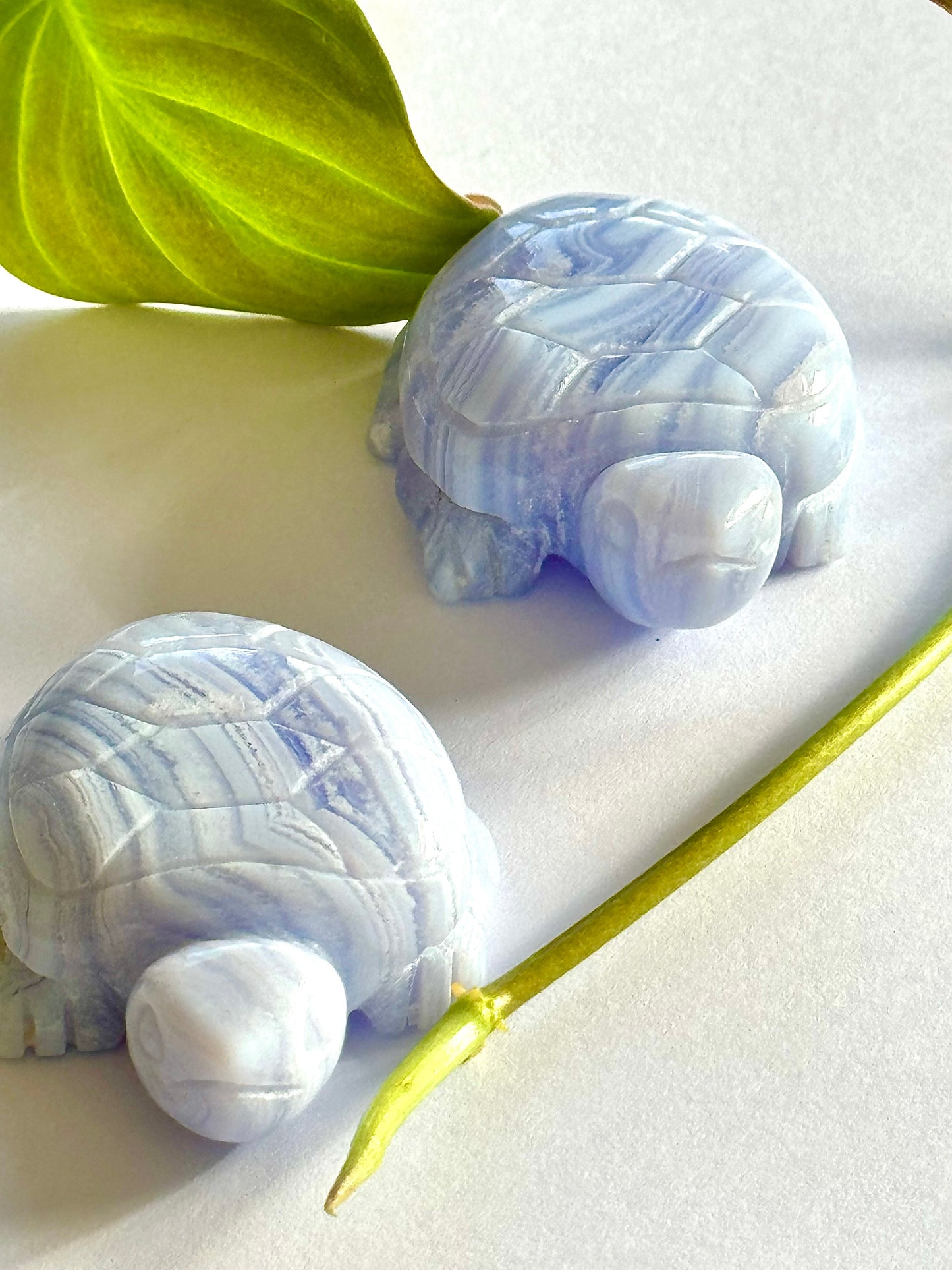Two Blue Lace Agate Crystal Turtles with intricate lace-like patterns, ideal for crystal lovers.