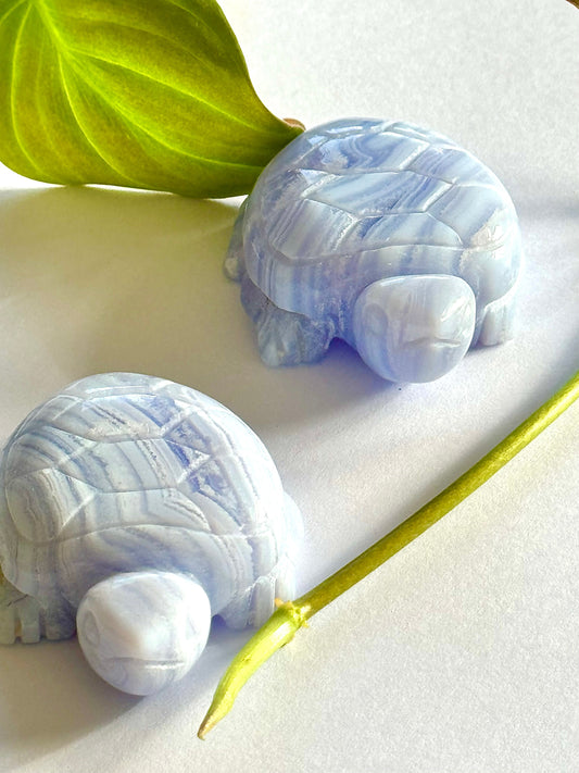 Two Blue Lace Agate Crystal Turtles with intricate lace-like patterns, ideal for crystal lovers.